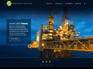 Evo Energy Consulting